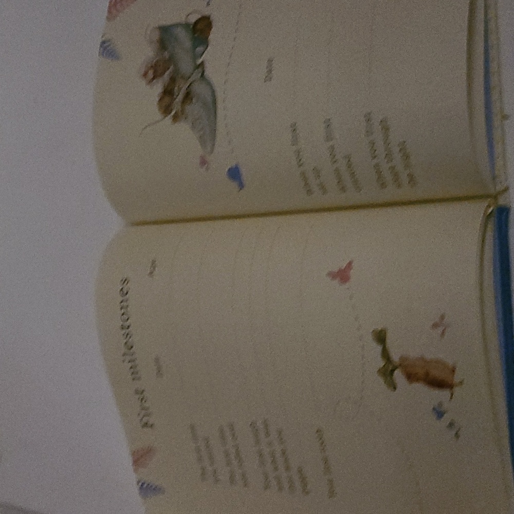 Peter Rabbit baby book - Picture 5 of 5
